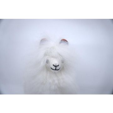 Alpaca Suri 30cm