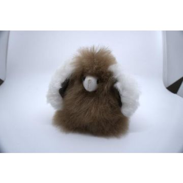 Shih Tzu 12cm
